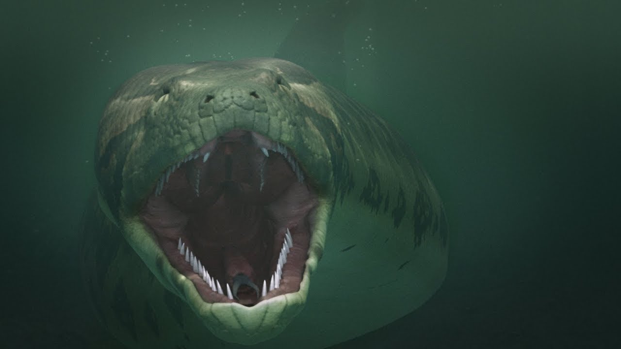 Titanoboa Die größte Schlange aller Zeiten Jinzo X