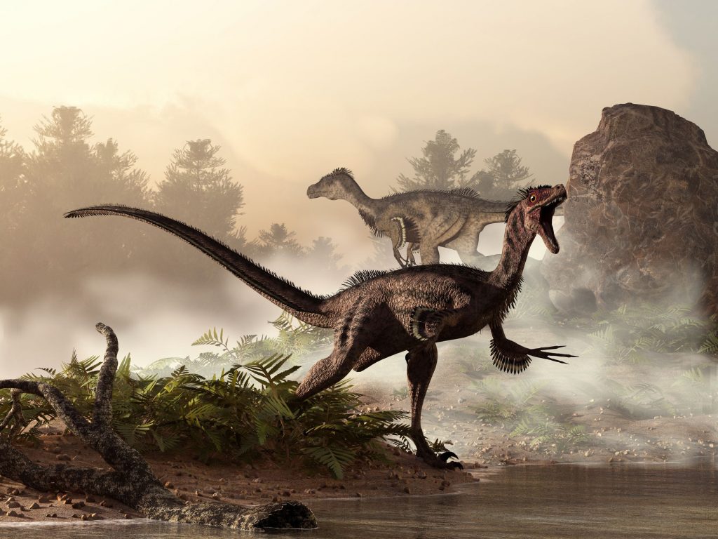 Velociraptor