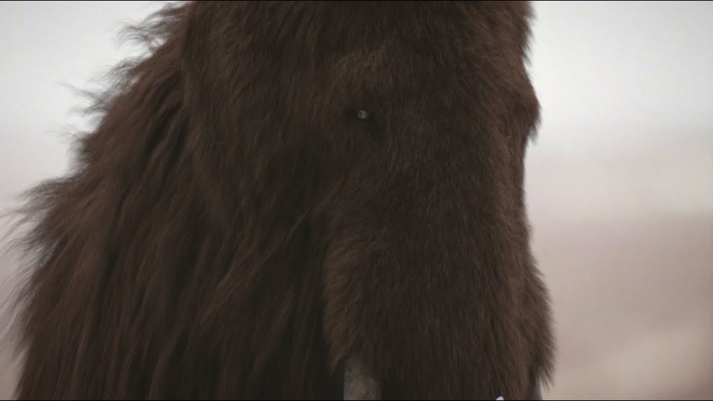 Mammut