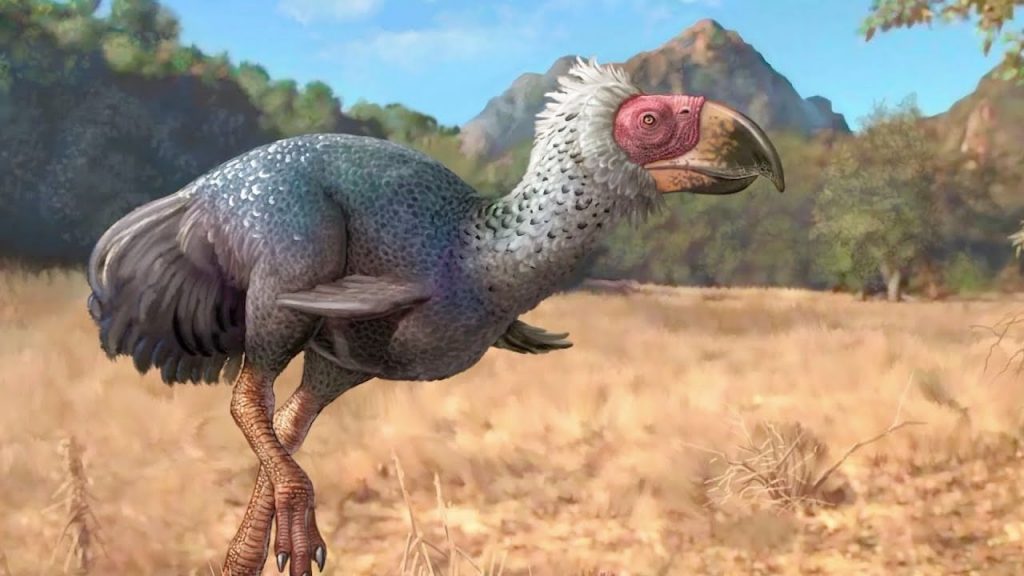 Terror Vogel