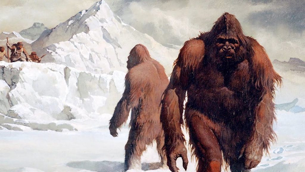Yeti